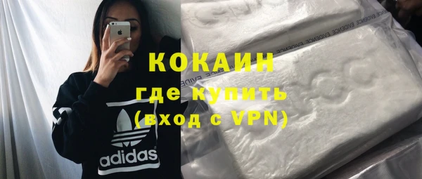 прущие грибы Аркадак