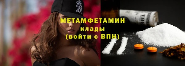 прущие грибы Армянск