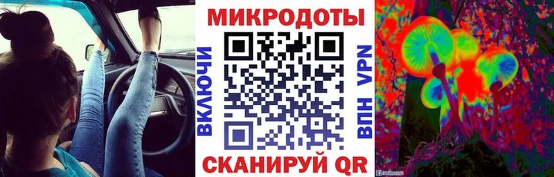 Галлюциногенные грибы Psilocybe  Удомля 